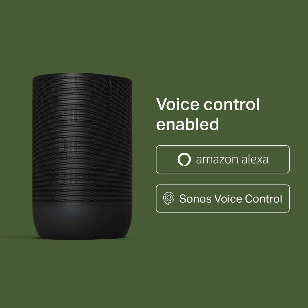 Setting up sonos cheap on alexa