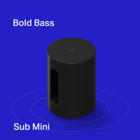 Sonos 3.1 with Ray and Sub Mini Set